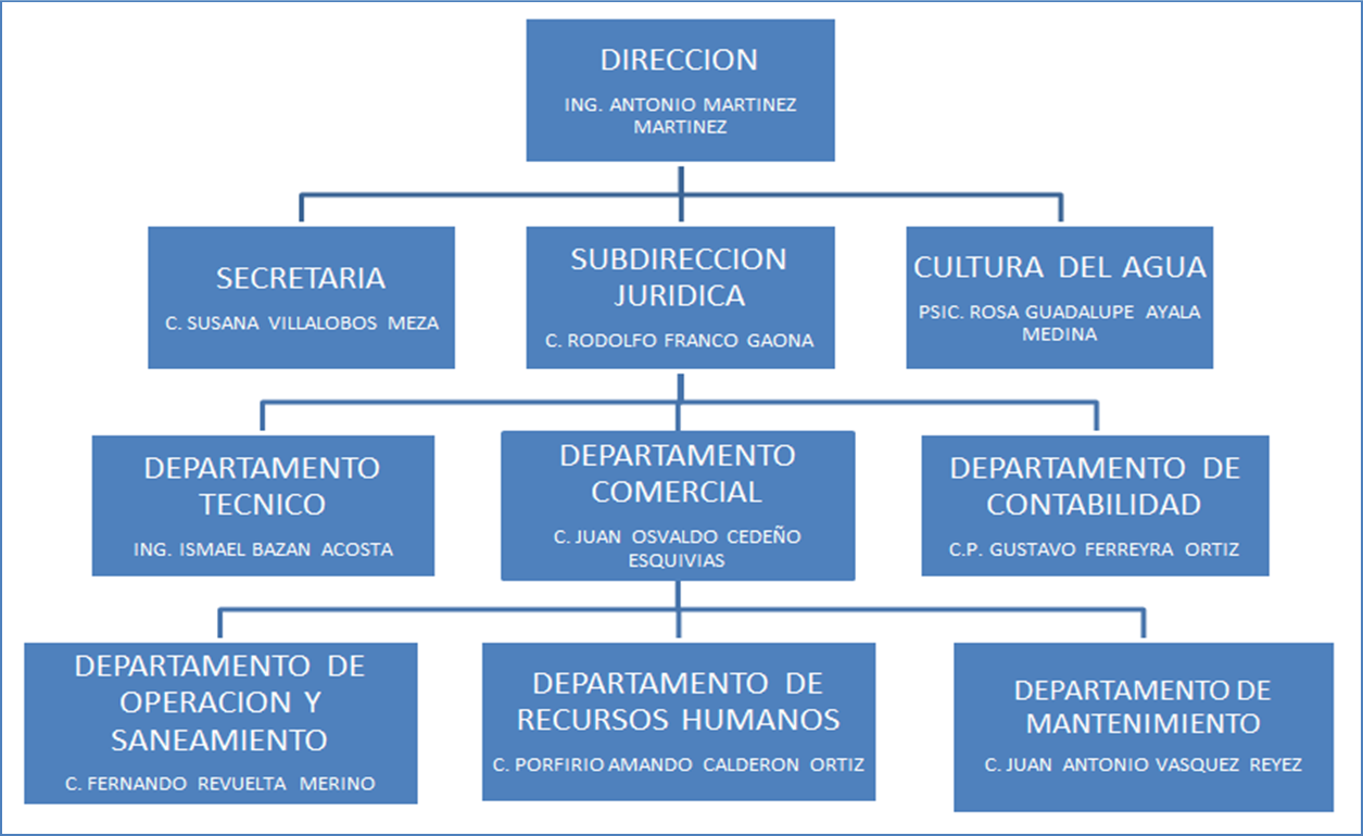 Estructura Organica – COMAPAT